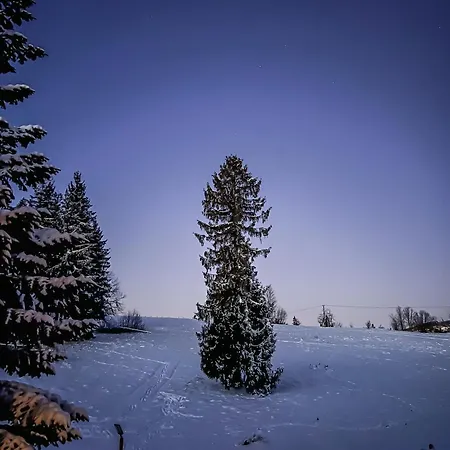 Gontyna Zakopane