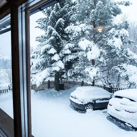 Gontyna Проживание в семье