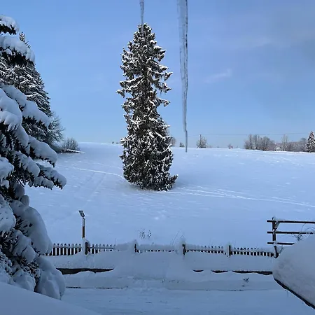 Gontyna * Закопане